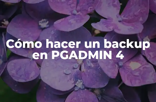 Cómo Hacer un Backup en Pgadmin 4