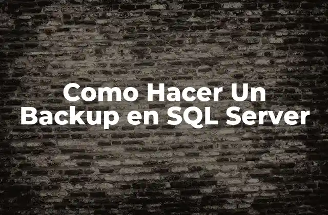 Como Hacer un Backup en Sql Server