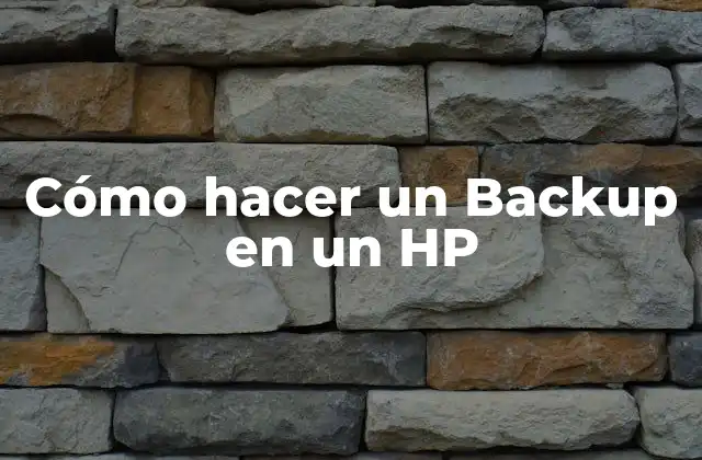 Cómo Hacer un Backup en un Hp