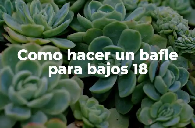 Como Hacer un Bafle para Bajos 18