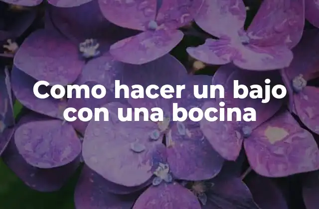 Como Hacer un bajo con una Bocina