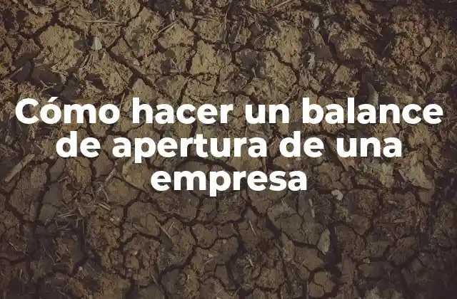 Cómo Hacer un Balance de Apertura de una Empresa