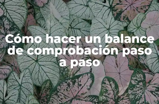 ¿Qué es un balance de comprobación y para qué sirve?