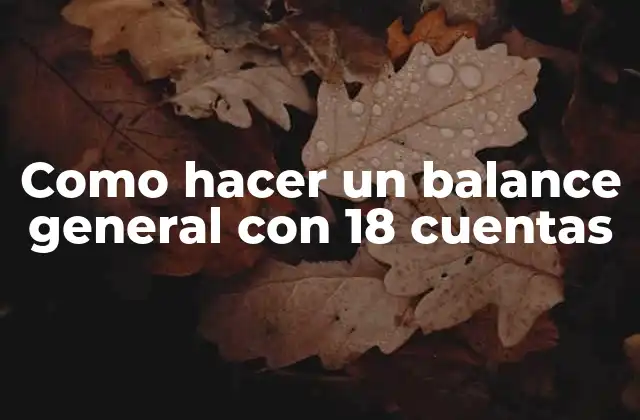 ¿Qué es un balance general y para qué sirve?