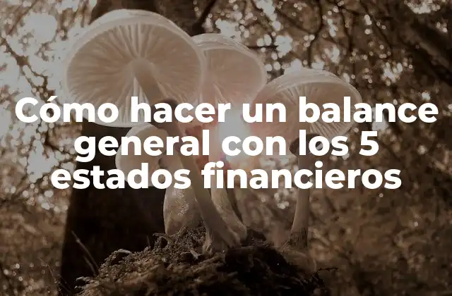 Cómo Hacer un Balance General con los 5 Estados Financieros