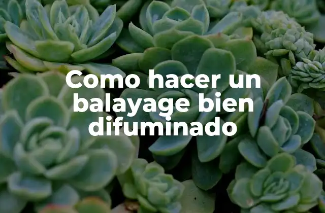 Como Hacer un Balayage Bien Difuminado