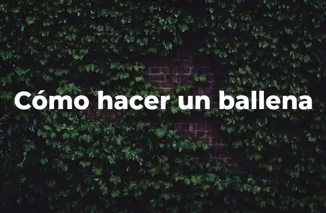 Cómo Hacer un Ballena 2 ¿Qué es un ballena y para qué sirve?