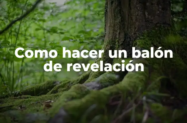 Como Hacer un Balón de Revelación