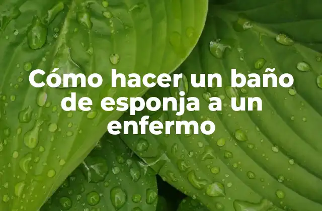 ¿Qué es un baño de esponja y por qué es importante para los enfermos?