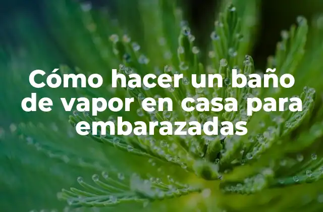 Cómo Hacer un Baño de Vapor en Casa para Embarazadas