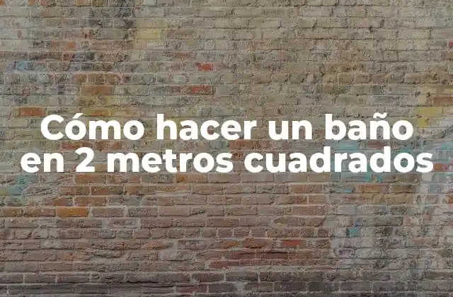 Cómo Hacer un Baño en 2 Metros Cuadrados