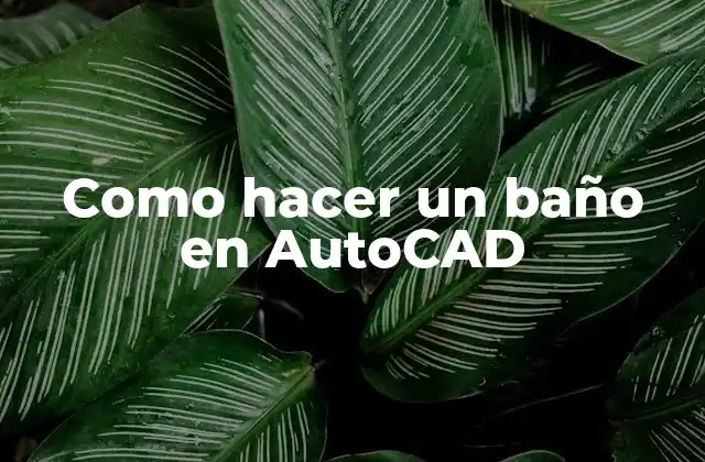 Como Hacer un Baño en Autocad