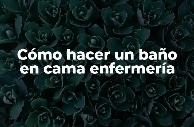 Cómo Hacer un Baño en Cama Enfermería
