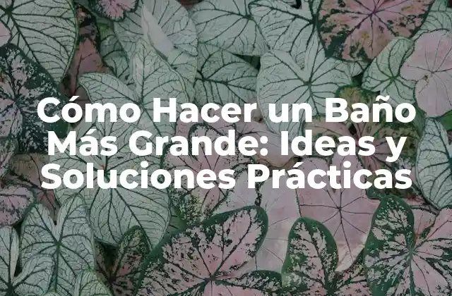 Cómo Hacer un Baño Más Grande: Ideas y Soluciones Prácticas