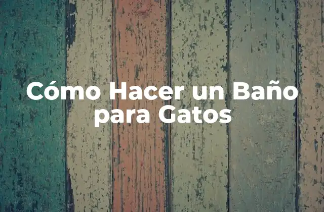 Cómo Hacer un Baño para Gatos