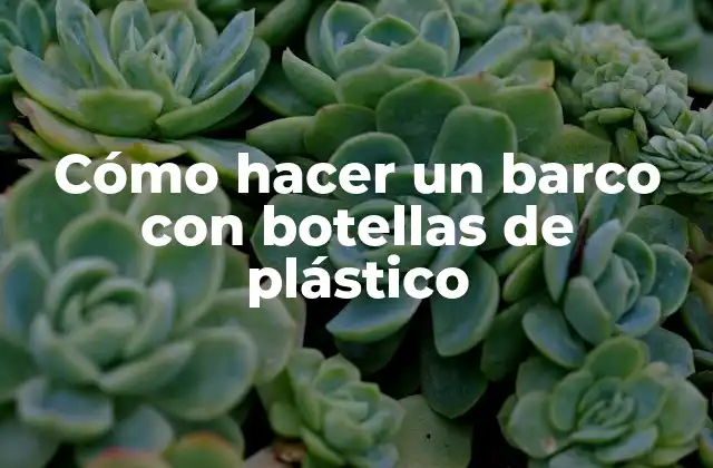 Cómo Hacer un Barco con Botellas de Plástico