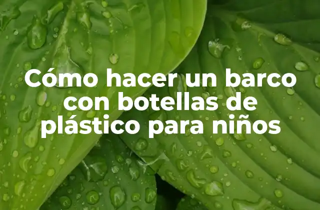 Cómo Hacer un Barco con Botellas de Plástico para Niños