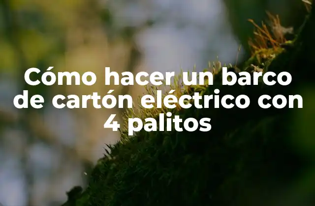 Cómo Hacer un Barco de Cartón Eléctrico con 4 Palitos