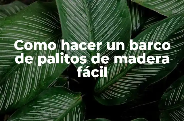Como Hacer un Barco de Palitos de Madera Fácil