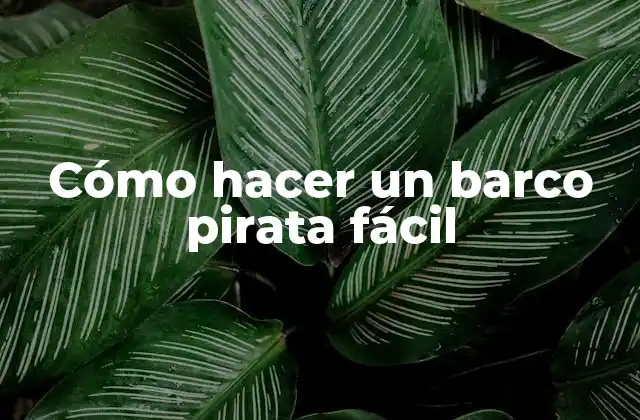 Cómo Hacer un Barco Pirata Fácil