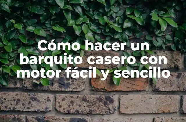 Cómo Hacer un Barquito Casero con Motor Fácil y Sencillo