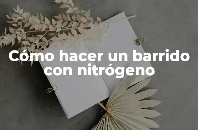 Cómo Hacer un Barrido con Nitrógeno 2 ¿Qué es un barrido con nitrógeno?