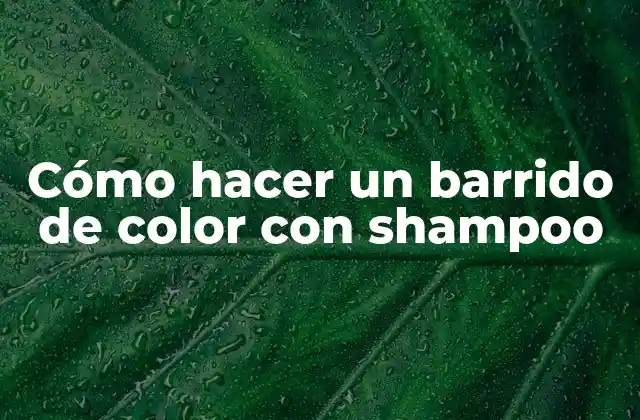 Cómo Hacer un Barrido de Color con Shampoo