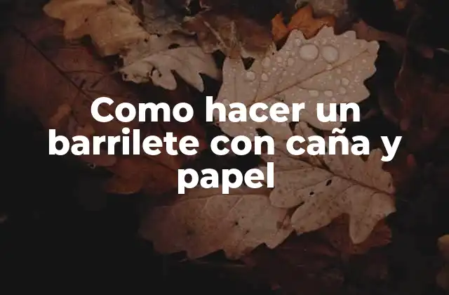 Como Hacer un Barrilete con Caña y Papel