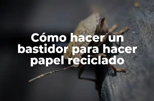 Cómo Hacer un Bastidor para Hacer Papel Reciclado