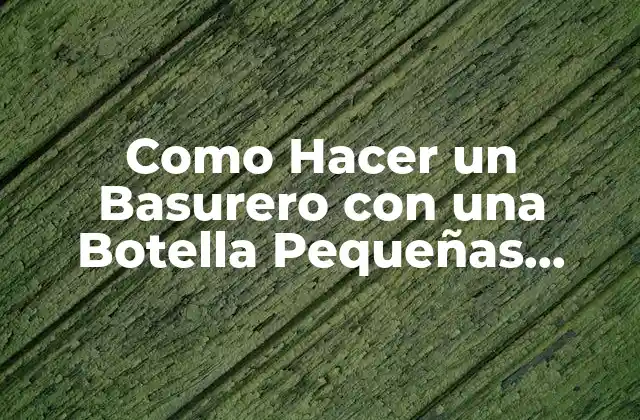 Como Hacer un Basurero con una Botella Pequeñas Canastas