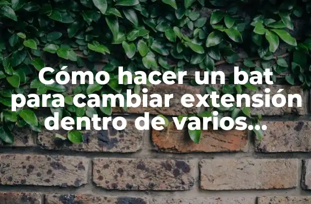 Cómo Hacer un Bat para Cambiar Extensión Dentro de Varios Directorios