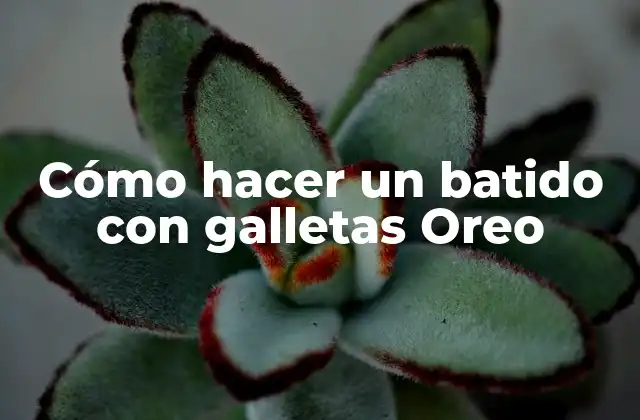 Cómo Hacer un Batido con Galletas Oreo