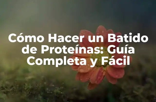 Cómo Hacer un Batido de Proteínas: Guía Completa y Fácil