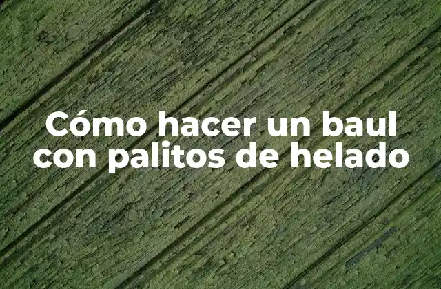 Cómo Hacer un Baul con Palitos de Helado