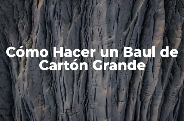 Cómo Hacer un Baul de Cartón Grande