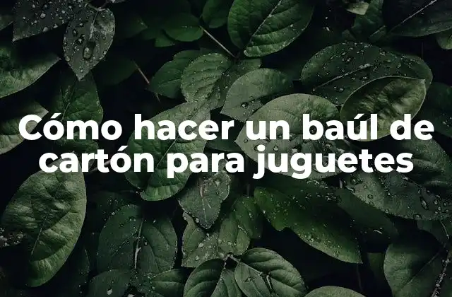 Cómo Hacer un Baúl de Cartón para Juguetes