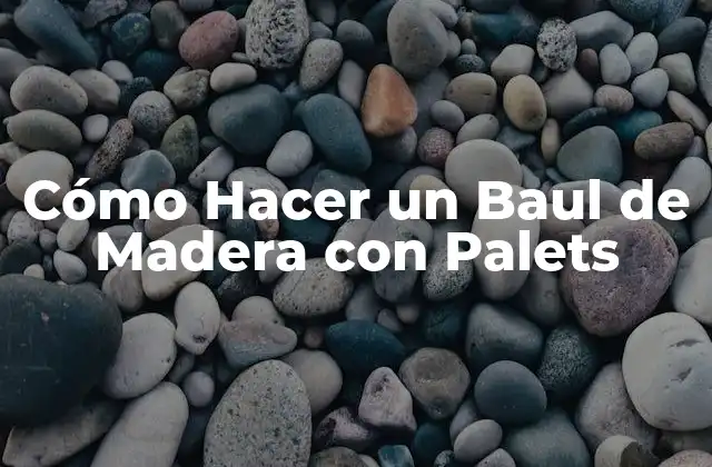 Cómo Hacer un Baul de Madera con Palets