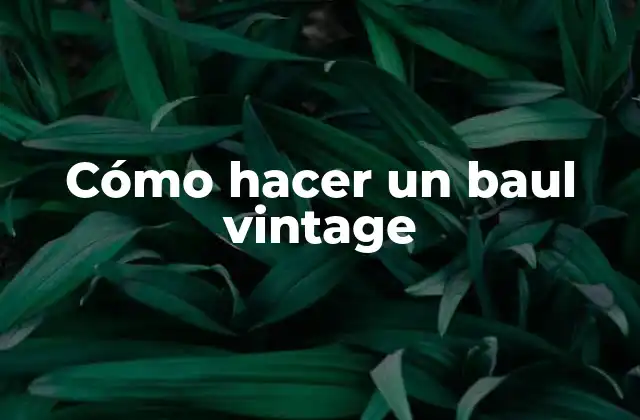 Cómo Hacer un Baul Vintage