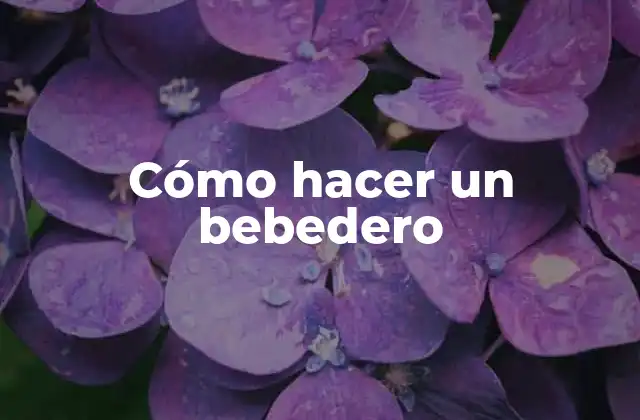 Cómo Hacer un Bebedero