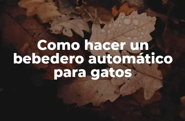 Como Hacer un Bebedero Automático para Gatos 2 ¿Qué es un bebedero automático para gatos?