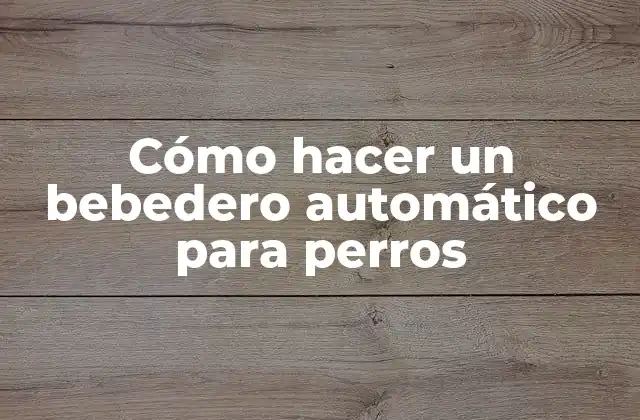 Cómo Hacer un Bebedero Automático para Perros