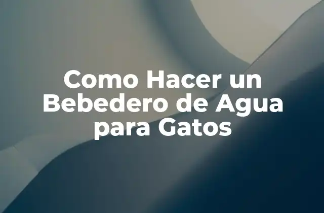 Como Hacer un Bebedero de Agua para Gatos