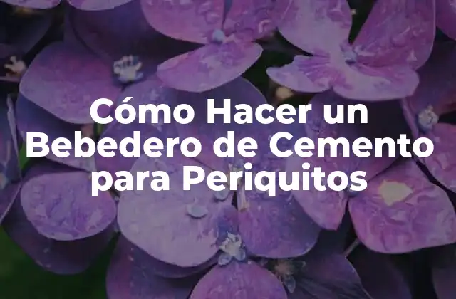 Cómo Hacer un Bebedero de Cemento para Periquitos