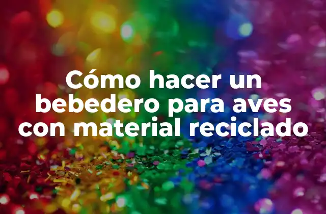 Cómo Hacer un Bebedero para Aves con Material Reciclado