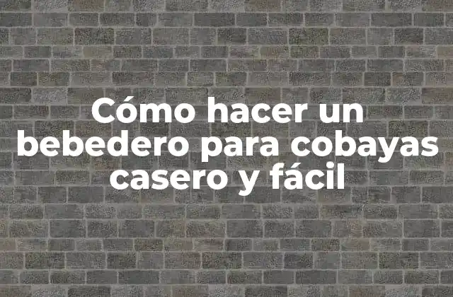 Cómo Hacer un Bebedero para Cobayas Casero y Fácil