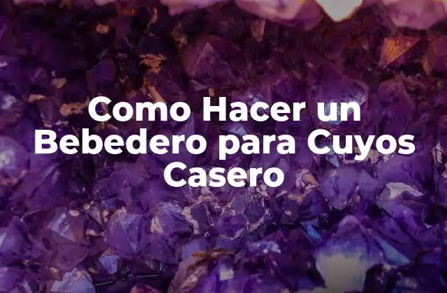 Como Hacer un Bebedero para Cuyos Casero