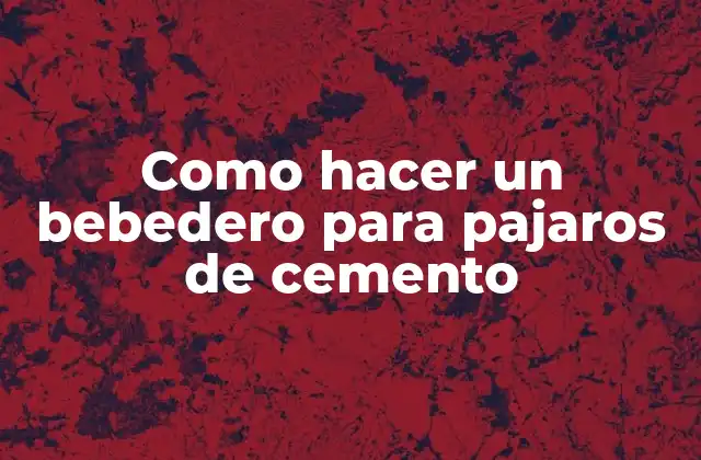 Como Hacer un Bebedero para Pajaros de Cemento