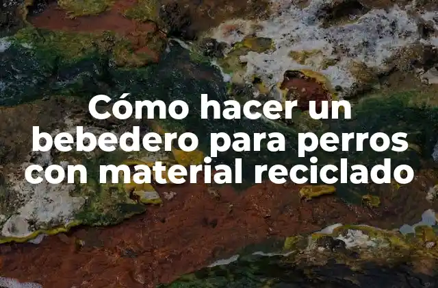 Cómo Hacer un Bebedero para Perros con Material Reciclado 2 Cómo hacer un bebedero para perros con material reciclado