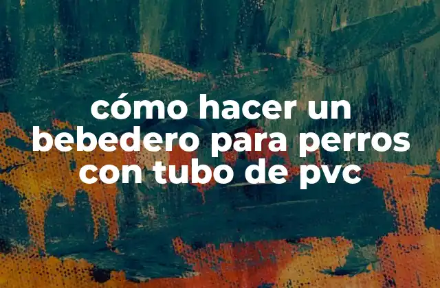 Cómo Hacer un Bebedero para Perros con Tubo de Pvc