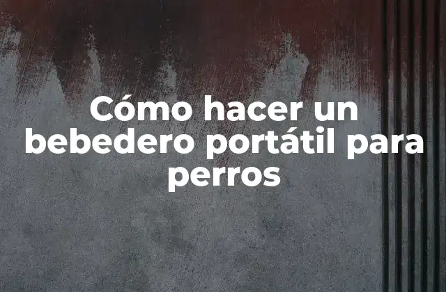 Cómo Hacer un Bebedero Portátil para Perros